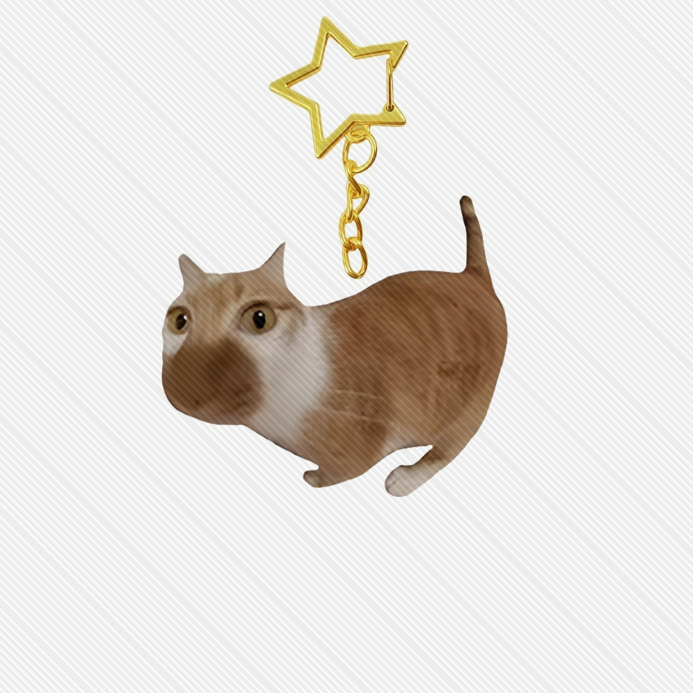 6CM Anime meme Acrylic Keychai - đánh giá và giá Anime Cosplay Meme